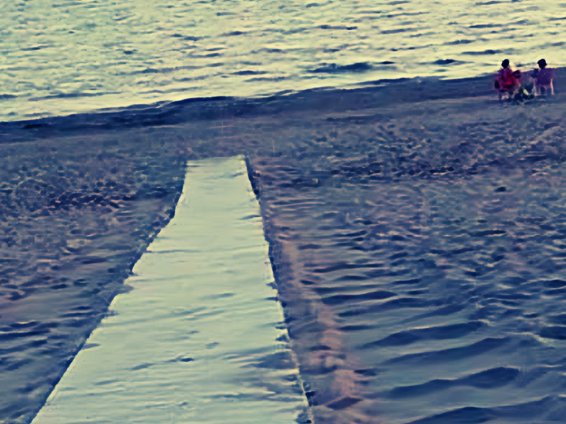 Mare disabile
